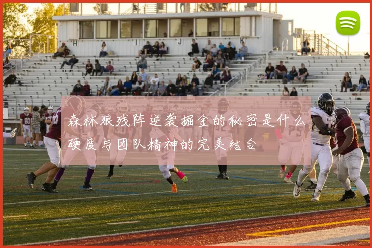 森林狼残阵逆袭掘金的秘密是什么硬度与团队精神的完美结合